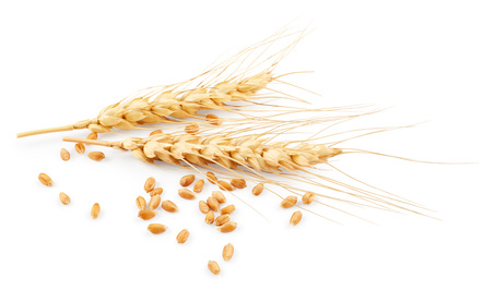 only the best wheat